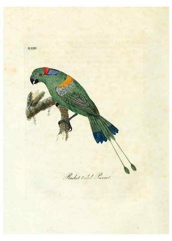 Reproducción/Reproduction 8968816126: A general history of birds /. Winchester [England] :Printed by Jacob and Johnson, for the author : sold in London by G. and W.B. Whittaker ... [and 3 others],1821-1828.