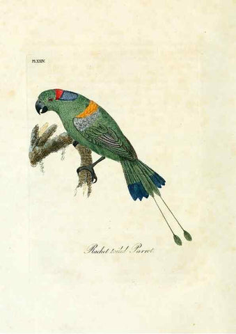 Reproducción/Reproduction 8968816126: A general history of birds /. Winchester [England] :Printed by Jacob and Johnson, for the author : sold in London by G. and W.B. Whittaker ... [and 3 others],1821-1828.
