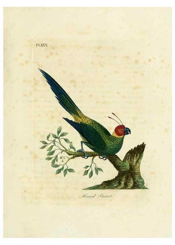 Reproducción/Reproduction 8968817552: A general history of birds /. Winchester [England] :Printed by Jacob and Johnson, for the author : sold in London by G. and W.B. Whittaker ... [and 3 others],1821-1828.