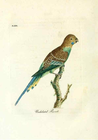 Reproducción/Reproduction 8968818930: A general history of birds /. Winchester [England] :Printed by Jacob and Johnson, for the author : sold in London by G. and W.B. Whittaker ... [and 3 others],1821-1828.