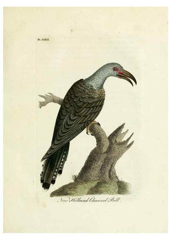 Reproducción/Reproduction 8968826606: A general history of birds /. Winchester [England] :Printed by Jacob and Johnson, for the author : sold in London by G. and W.B. Whittaker ... [and 3 others],1821-1828.