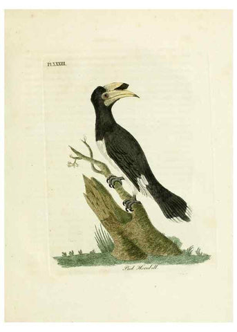 Reproducción/Reproduction 8968827942: A general history of birds /. Winchester [England] :Printed by Jacob and Johnson, for the author : sold in London by G. and W.B. Whittaker ... [and 3 others],1821-1828.