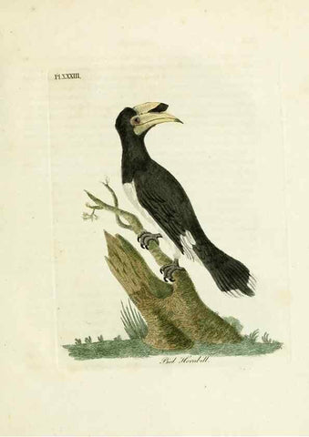 Reproducción/Reproduction 8968827942: A general history of birds /. Winchester [England] :Printed by Jacob and Johnson, for the author : sold in London by G. and W.B. Whittaker ... [and 3 others],1821-1828.
