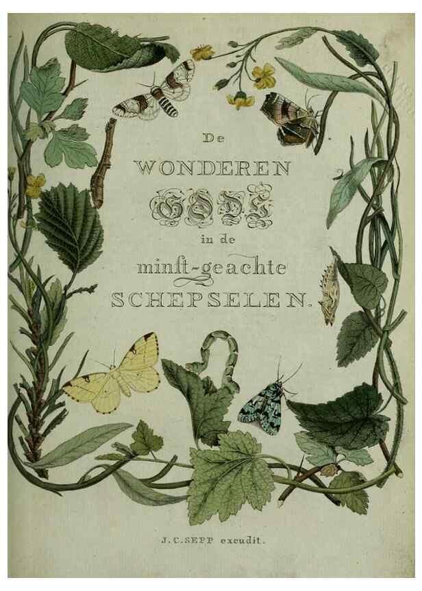 Reproducción/Reproduction 8937440651: Beschouwing der wonderen Gods :. Amsterdam :J.C. Sepp,[1762-1860]