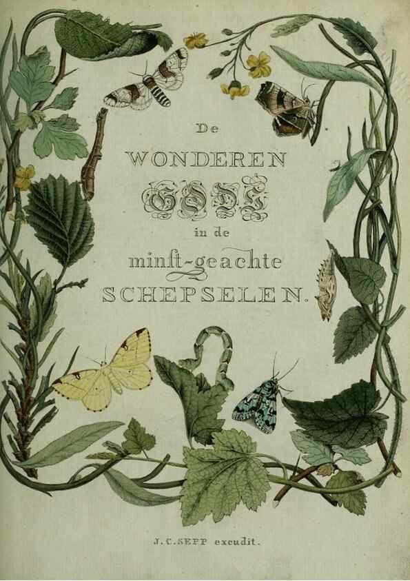 Reproducción/Reproduction 8937440651: Beschouwing der wonderen Gods :. Amsterdam :J.C. Sepp,[1762-1860]