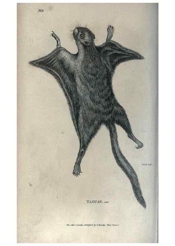 Reproducción/Reproduction 8949597085: General zoology, or Systematic natural history,. London,Printed for G. Kearsley,1800-1826.