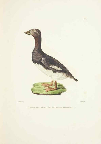 Reproducción/Reproduction 9005741617: Voyage autour du monde :. Paris :Pillet, Aine, Imprimerie royale,1824.