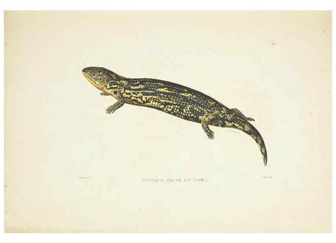 Reproducción/Reproduction 9006924880: Voyage autour du monde :. Paris :Pillet, Aine, Imprimerie royale,1824.