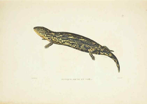 Reproducción/Reproduction 9006924880: Voyage autour du monde :. Paris :Pillet, Aine, Imprimerie royale,1824.