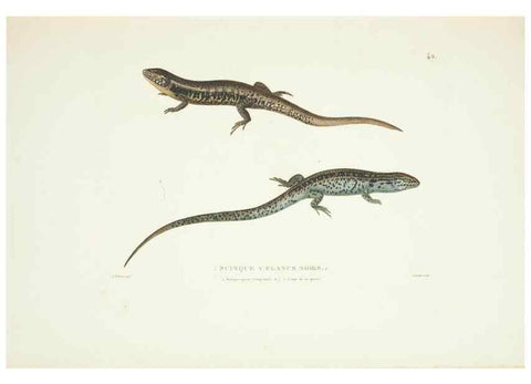 Reproducción/Reproduction 9005745513: Voyage autour du monde :. Paris :Pillet, Aine, Imprimerie royale,1824.