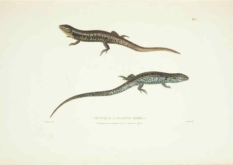 Reproducción/Reproduction 9005745513: Voyage autour du monde :. Paris :Pillet, Aine, Imprimerie royale,1824.