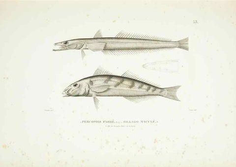Reproducción/Reproduction 9006938032: Voyage autour du monde :. Paris :Pillet, Aine, Imprimerie royale,1824.