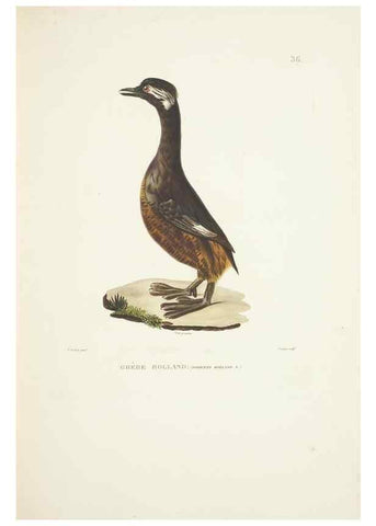 Reproducción/Reproduction 9006917860: Voyage autour du monde :. Paris :Pillet, Aine, Imprimerie royale,1824.
