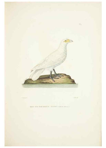 Reproducción/Reproduction 9006916584: Voyage autour du monde :. Paris :Pillet, Aine, Imprimerie royale,1824.