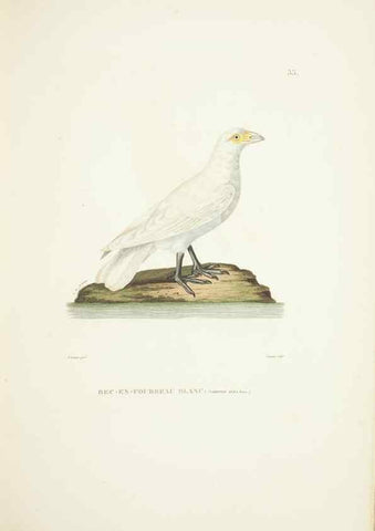 Reproducción/Reproduction 9006916584: Voyage autour du monde :. Paris :Pillet, Aine, Imprimerie royale,1824.