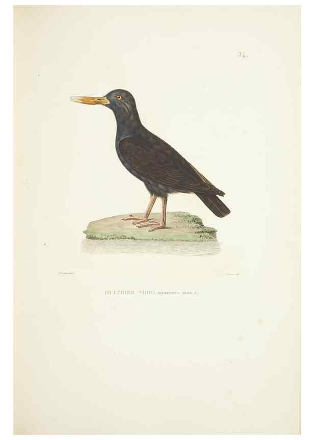 Reproducción/Reproduction 9005734647: Voyage autour du monde :. Paris :Pillet, Aine, Imprimerie royale,1824.