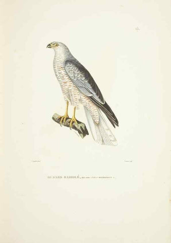 Reproducción/Reproduction 9005712611: Voyage autour du monde :. Paris :Pillet, Aine, Imprimerie royale,1824.