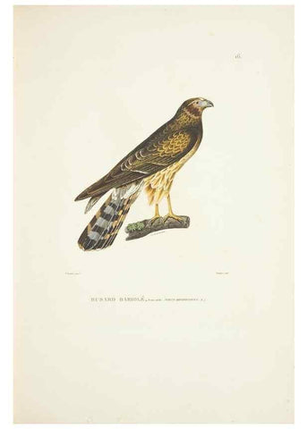 Reproducción/Reproduction 9005714001: Voyage autour du monde :. Paris :Pillet, Aine, Imprimerie royale,1824.