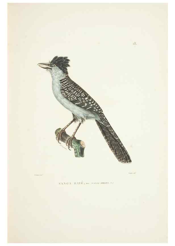 Reproducción/Reproduction 9005715569: Voyage autour du monde :. Paris :Pillet, Aine, Imprimerie royale,1824.