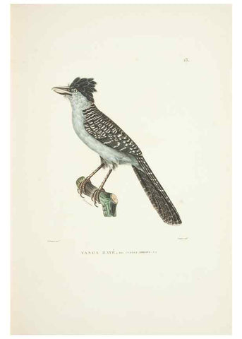 Reproducción/Reproduction 9005715569: Voyage autour du monde :. Paris :Pillet, Aine, Imprimerie royale,1824.