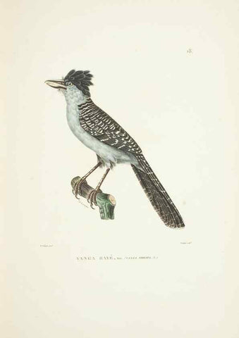 Reproducción/Reproduction 9005715569: Voyage autour du monde :. Paris :Pillet, Aine, Imprimerie royale,1824.