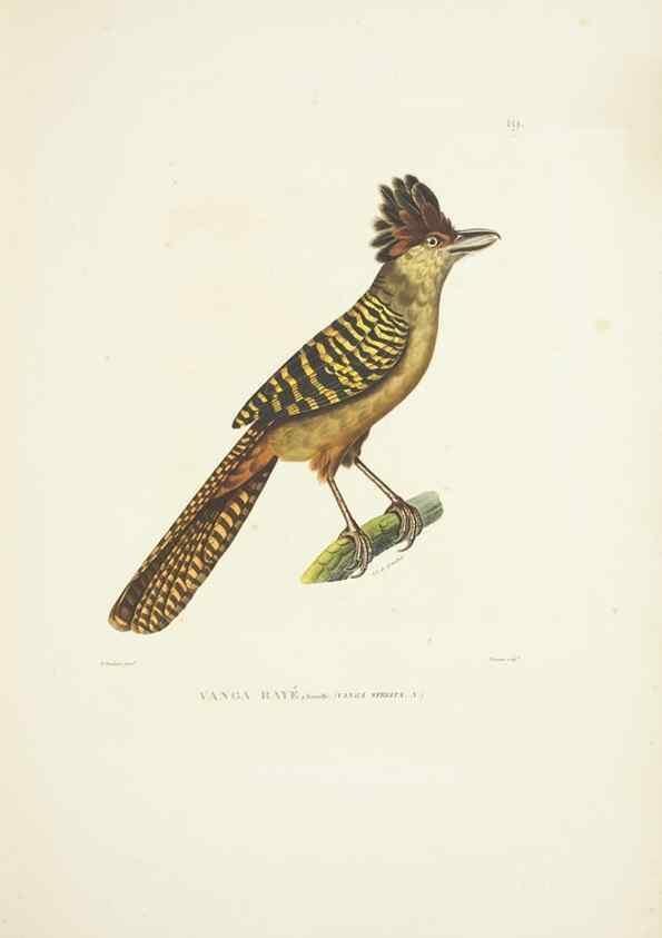 Reproducción/Reproduction 9006897684: Voyage autour du monde :. Paris :Pillet, Aine, Imprimerie royale,1824.