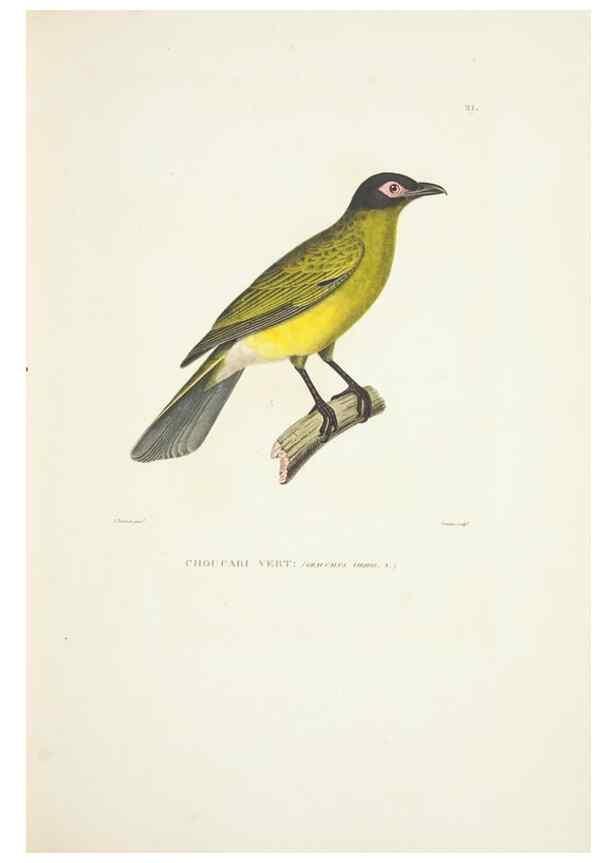 Reproducción/Reproduction 9005718305: Voyage autour du monde :. Paris :Pillet, Aine, Imprimerie royale,1824.