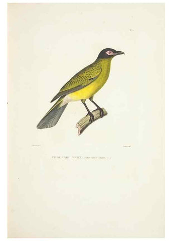 Reproducción/Reproduction 9005718305: Voyage autour du monde :. Paris :Pillet, Aine, Imprimerie royale,1824.