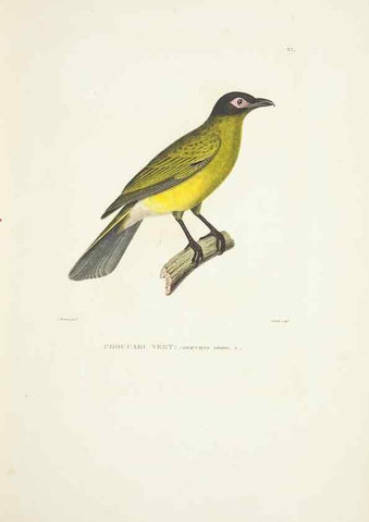 Reproducción/Reproduction 9005718305: Voyage autour du monde :. Paris :Pillet, Aine, Imprimerie royale,1824.