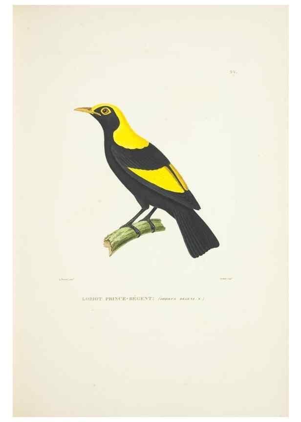 Reproducción/Reproduction 9005719565: Voyage autour du monde :. Paris :Pillet, Aine, Imprimerie royale,1824.