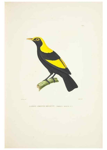 Reproducción/Reproduction 9005719565: Voyage autour du monde :. Paris :Pillet, Aine, Imprimerie royale,1824.