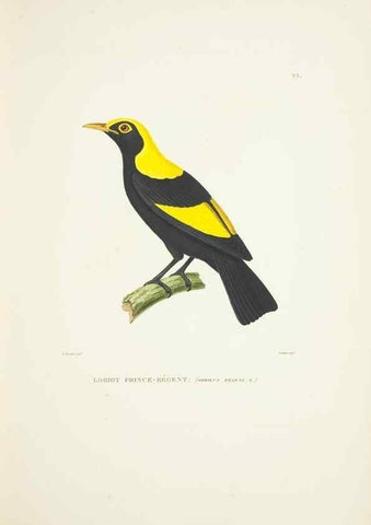 Reproducción/Reproduction 9005719565: Voyage autour du monde :. Paris :Pillet, Aine, Imprimerie royale,1824.