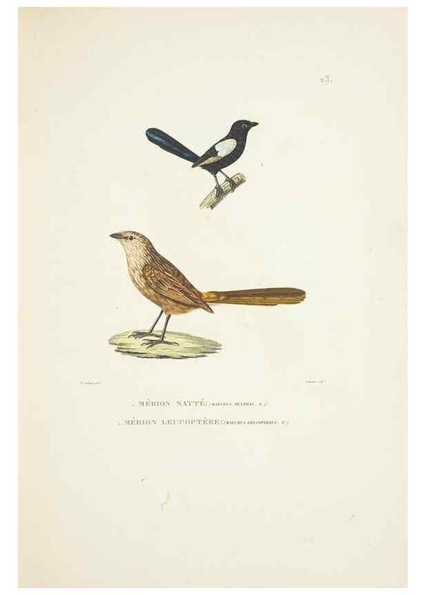Reproducción/Reproduction 9005721157: Voyage autour du monde :. Paris :Pillet, Aine, Imprimerie royale,1824.