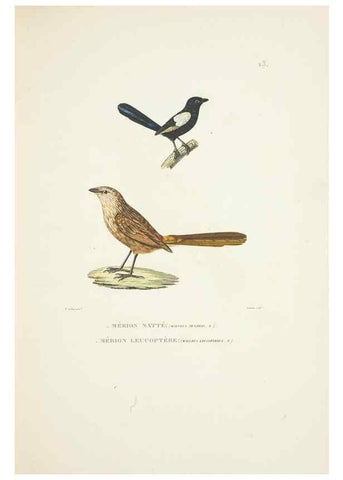 Reproducción/Reproduction 9005721157: Voyage autour du monde :. Paris :Pillet, Aine, Imprimerie royale,1824.