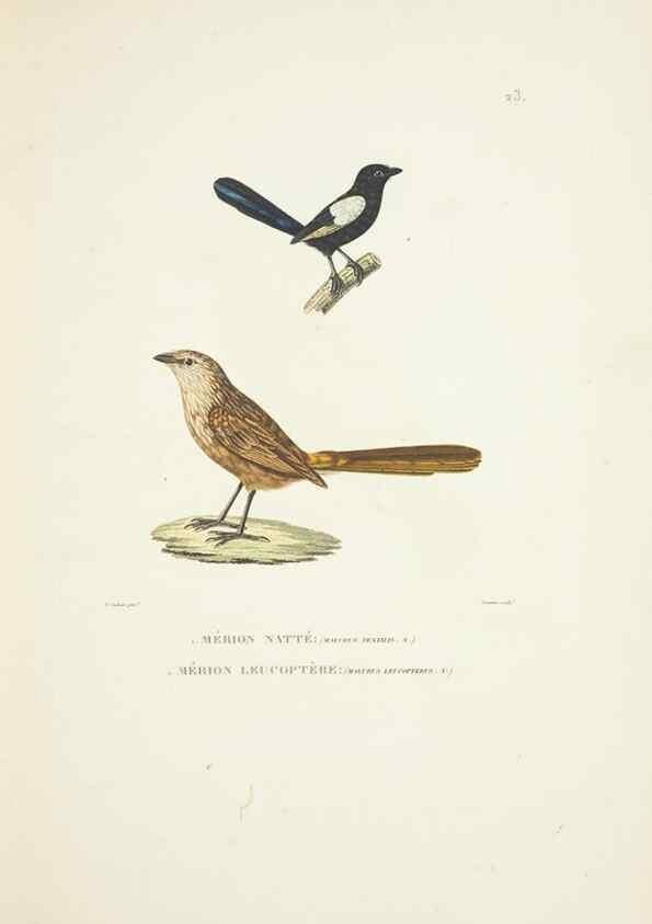 Reproducción/Reproduction 9005721157: Voyage autour du monde :. Paris :Pillet, Aine, Imprimerie royale,1824.