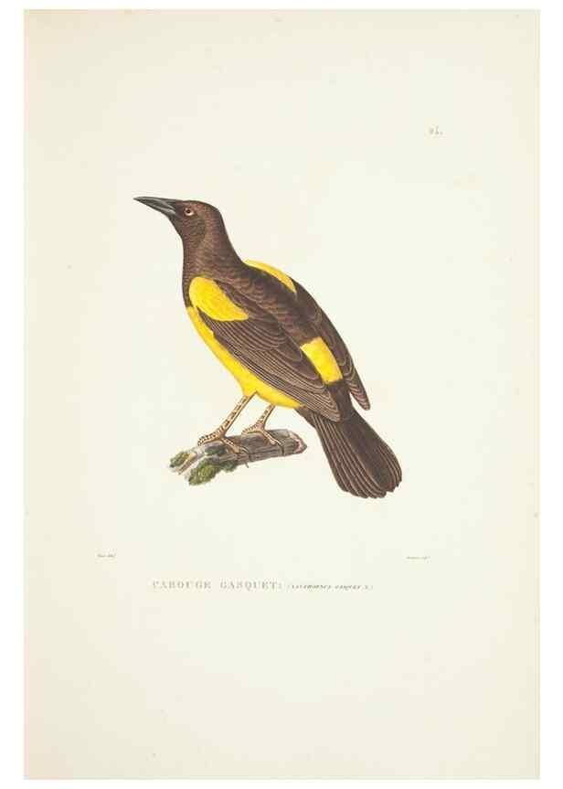 Reproducción/Reproduction 9005722511: Voyage autour du monde :. Paris :Pillet, Aine, Imprimerie royale,1824.