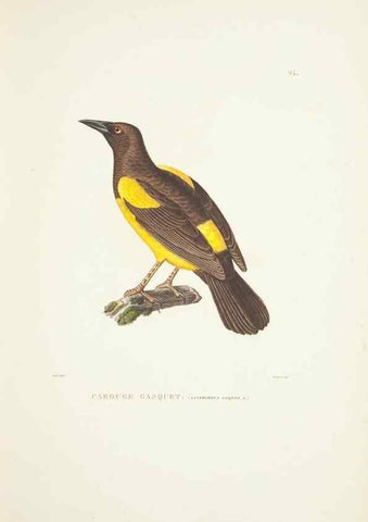 Reproducción/Reproduction 9005722511: Voyage autour du monde :. Paris :Pillet, Aine, Imprimerie royale,1824.
