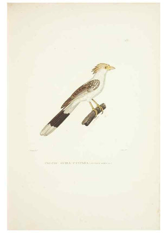 Reproducción/Reproduction 9006905594: Voyage autour du monde :. Paris :Pillet, Aine, Imprimerie royale,1824.