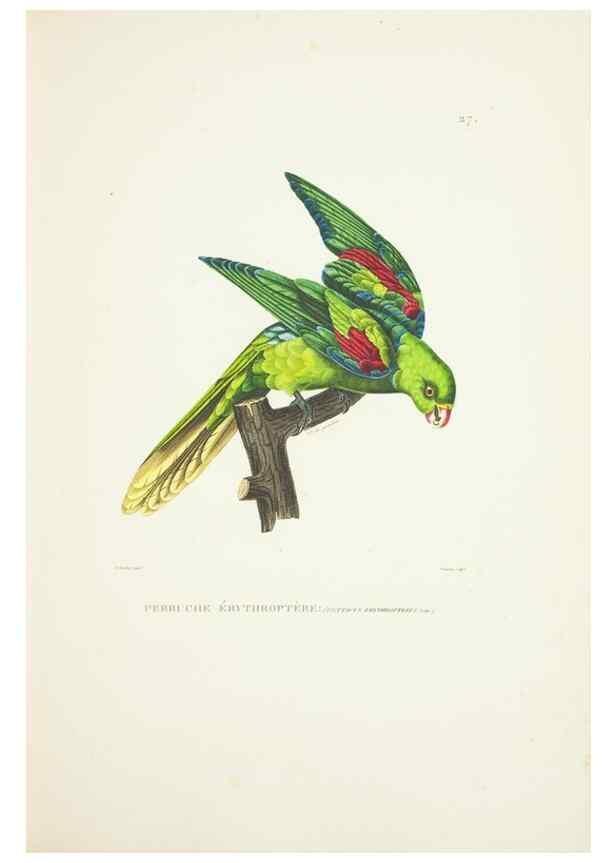 Reproducción/Reproduction 9005726567: Voyage autour du monde :. Paris :Pillet, Aine, Imprimerie royale,1824.