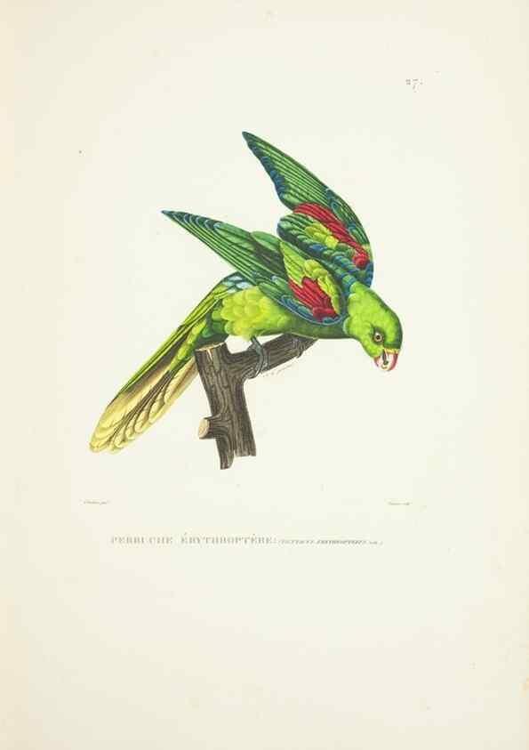 Reproducción/Reproduction 9005726567: Voyage autour du monde :. Paris :Pillet, Aine, Imprimerie royale,1824.