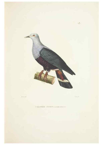 Reproducción/Reproduction 9006908660: Voyage autour du monde :. Paris :Pillet, Aine, Imprimerie royale,1824.