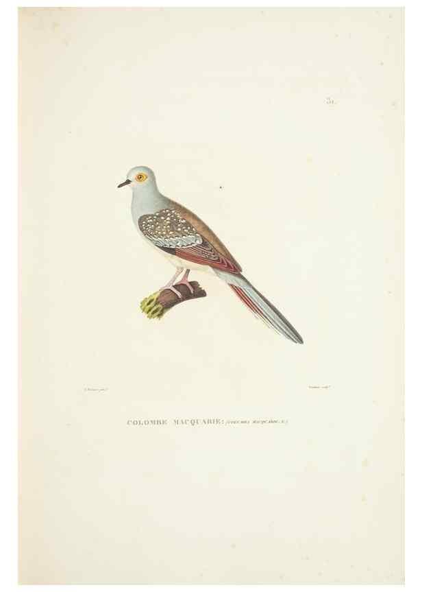 Reproducción/Reproduction 9006911138: Voyage autour du monde :. Paris :Pillet, Aine, Imprimerie royale,1824.