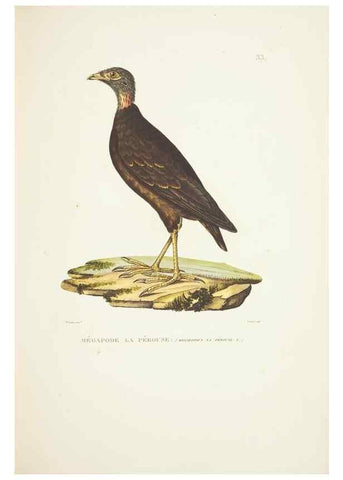 Reproducción/Reproduction 9006913948: Voyage autour du monde :. Paris :Pillet, Aine, Imprimerie royale,1824.