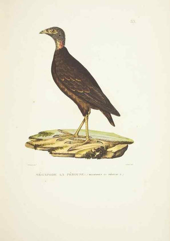 Reproducción/Reproduction 9006913948: Voyage autour du monde :. Paris :Pillet, Aine, Imprimerie royale,1824.