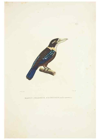 Reproducción/Reproduction 9006904444: Voyage autour du monde :. Paris :Pillet, Aine, Imprimerie royale,1824.