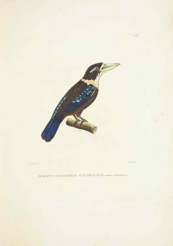 Reproducción/Reproduction 9006904444: Voyage autour du monde :. Paris :Pillet, Aine, Imprimerie royale,1824.