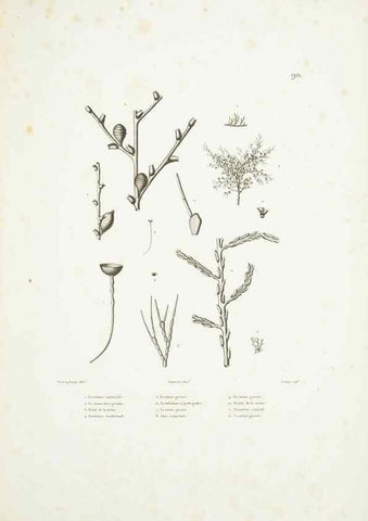 Reproducción/Reproduction 9006978544: Voyage autour du monde :. Paris :Pillet, Aine, Imprimerie royale,1824.