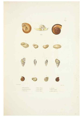 Reproducción/Reproduction 9006952148: Voyage autour du monde :. Paris :Pillet, Aine, Imprimerie royale,1824.