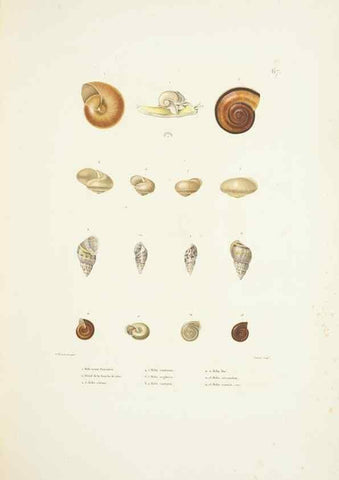 Reproducción/Reproduction 9006952148: Voyage autour du monde :. Paris :Pillet, Aine, Imprimerie royale,1824.