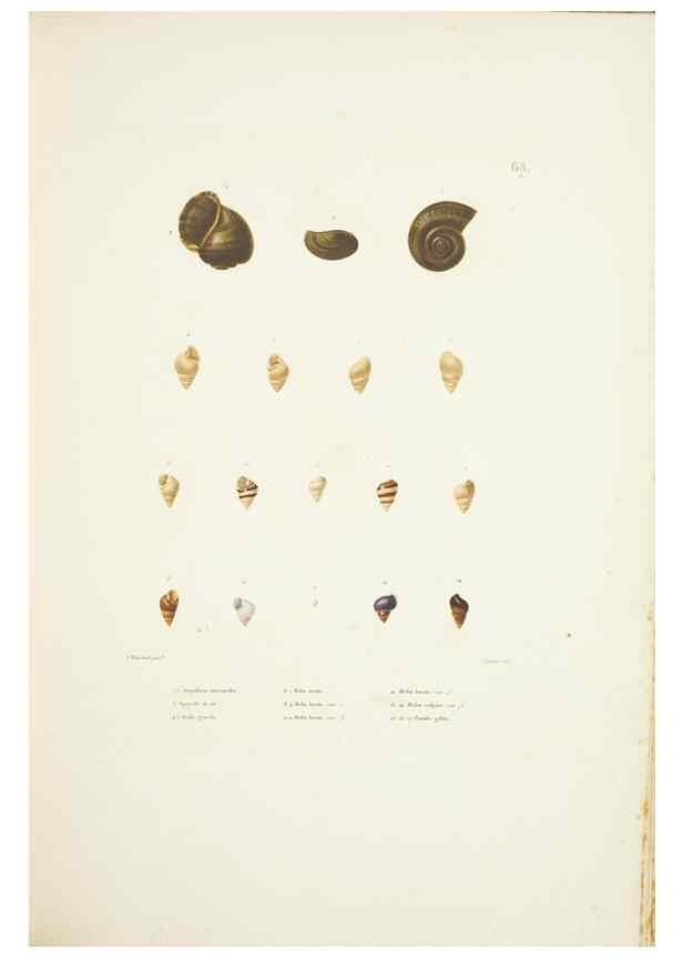Reproducción/Reproduction 9006953384: Voyage autour du monde :. Paris :Pillet, Aine, Imprimerie royale,1824.